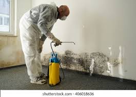 Best Biohazard Mold Removal  in Kitty Hawk, NC